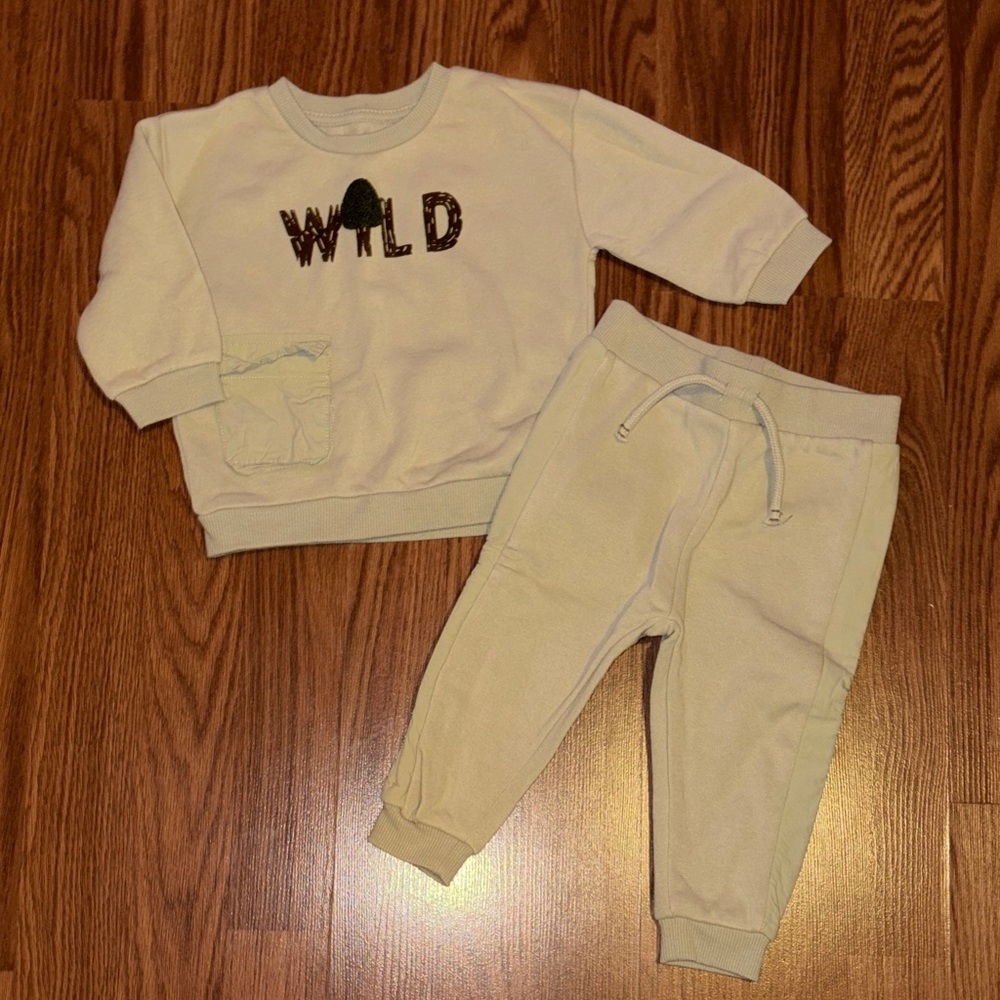 Toddler WILD Sweatshirt and Joggers Set